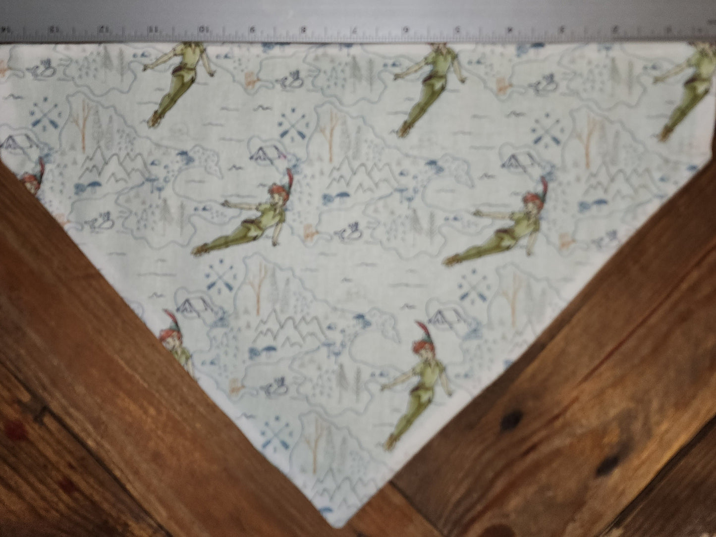 Peter Pan Large Dog Bandana