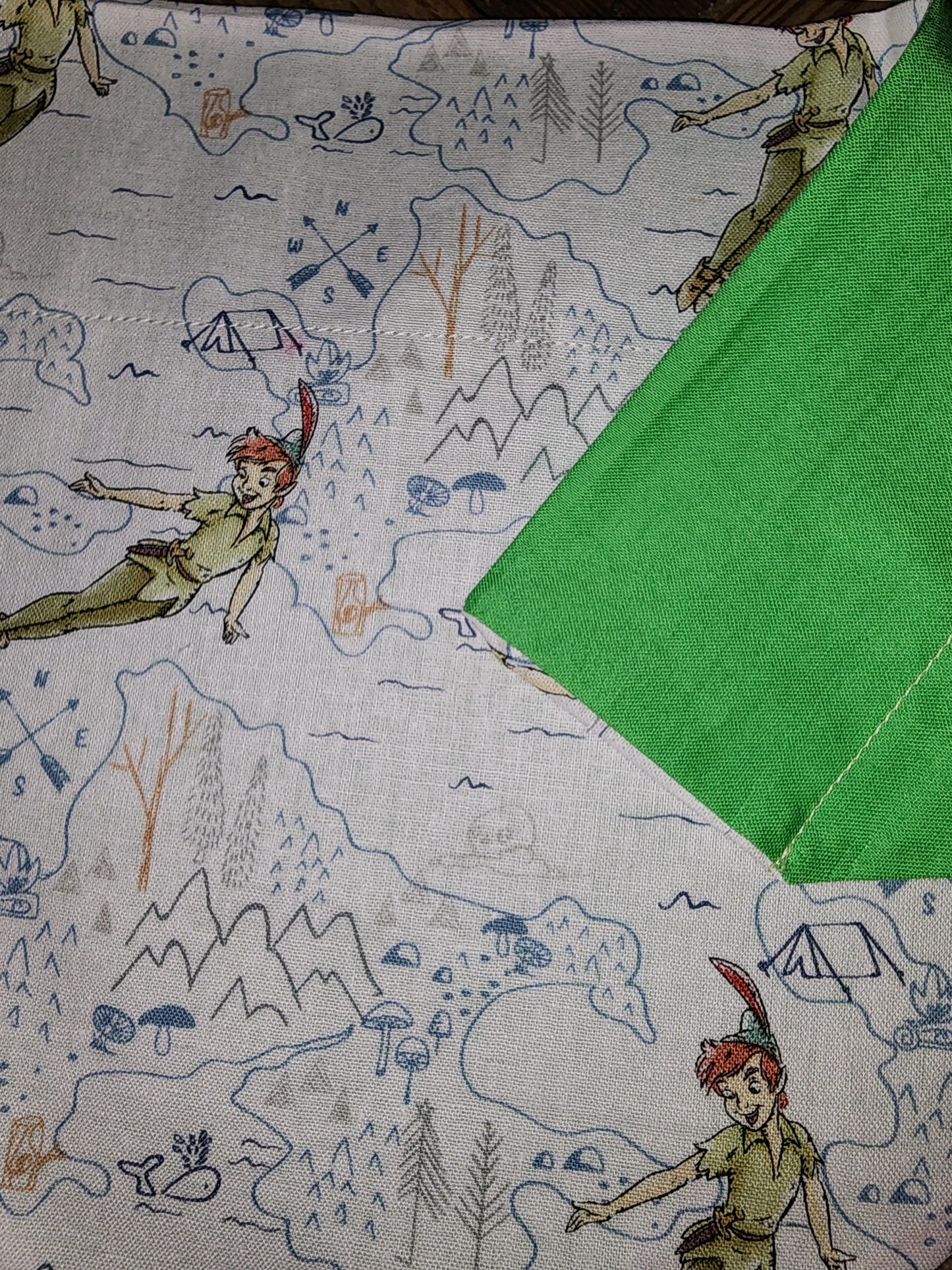 Peter Pan Large Dog Bandana