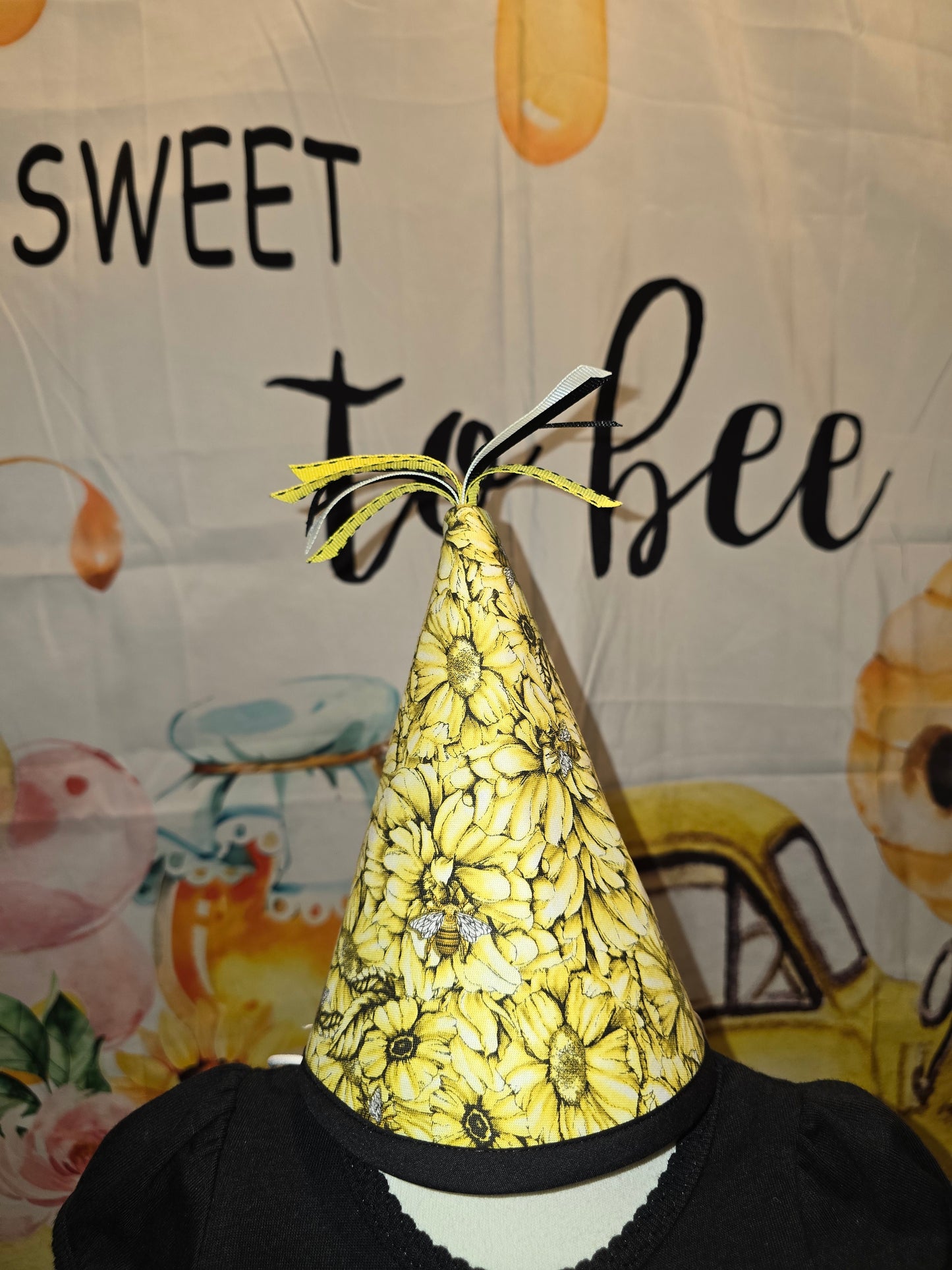 1st Bee Day Birthday Hat and Banner